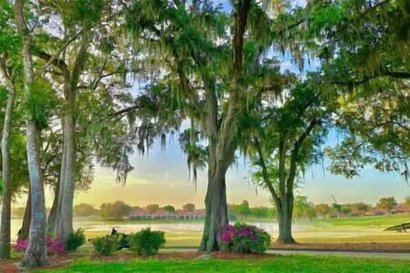 A park with trees, a grassy area, and a body of water.