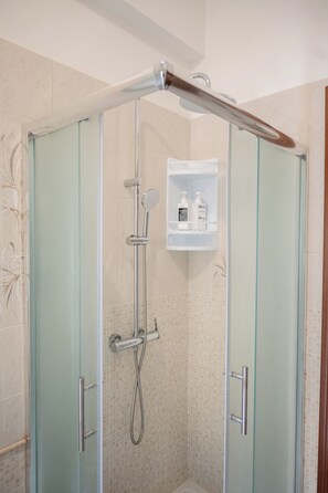 Shower, hair dryer, bidet, towels