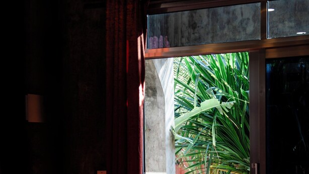 A room with a sliding glass door leading to an outdoor area with a plant. - Green Ocean Zanzibar Boutique Hotel (Jambiani)