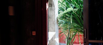 Green Ocean Zanzibar Boutique Hotel