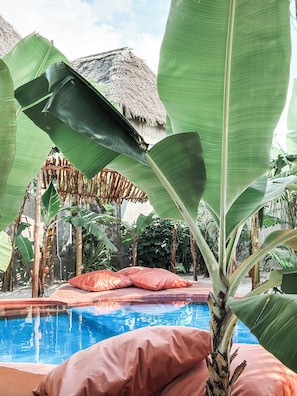 Un área de piscina con una estructura de techo de paja, rodeada de hojas de plátano y palmeras.