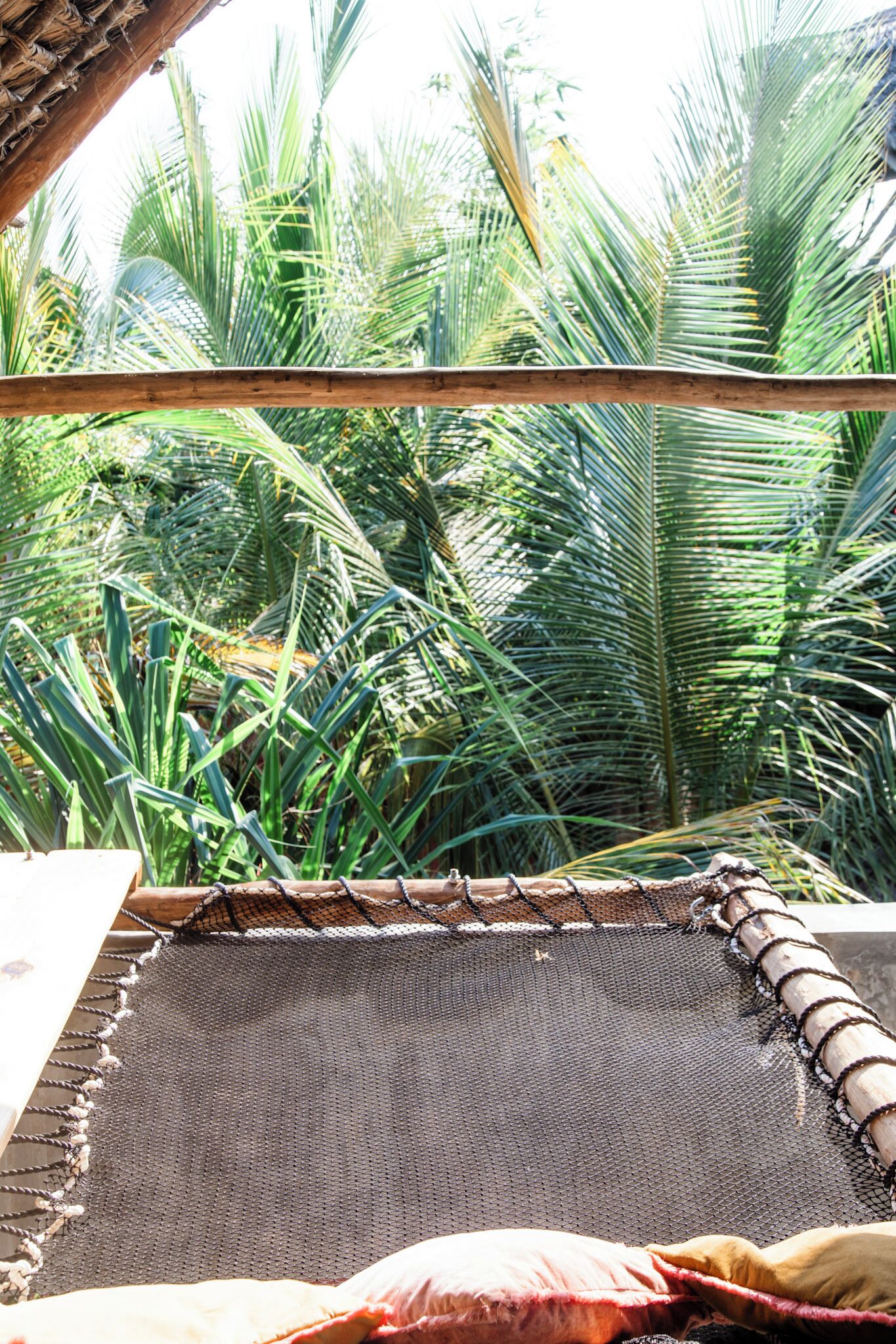 A hammock with a netted bottom, a wooden frame, and a view of dense green foliage.