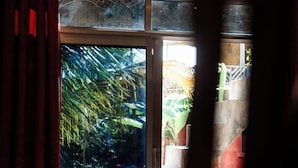 A room with a view of a garden through a glass door. - Green Ocean Zanzibar Boutique Hotel (Jambiani)