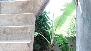 Exclusive Studio, Balcony - Green Ocean Zanzibar Boutique Hotel (Jambiani)