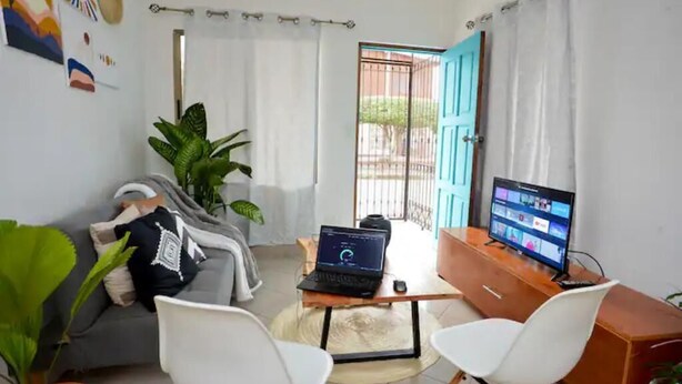 A living room with a grey sofa, two white chairs, a laptop, a desktop computer, and a TV. There is a large plant, a small table, and a curtain-covered door.