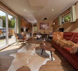 TV connectée, cheminée