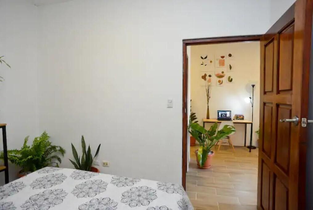 A bedroom with a bed, two potted plants, and a door leading to a living area with a desk and a chair.