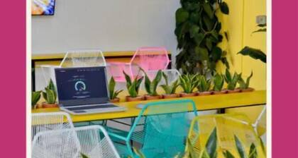 One-bedroom Suite - 5min to La Calzada + 30MB wifi