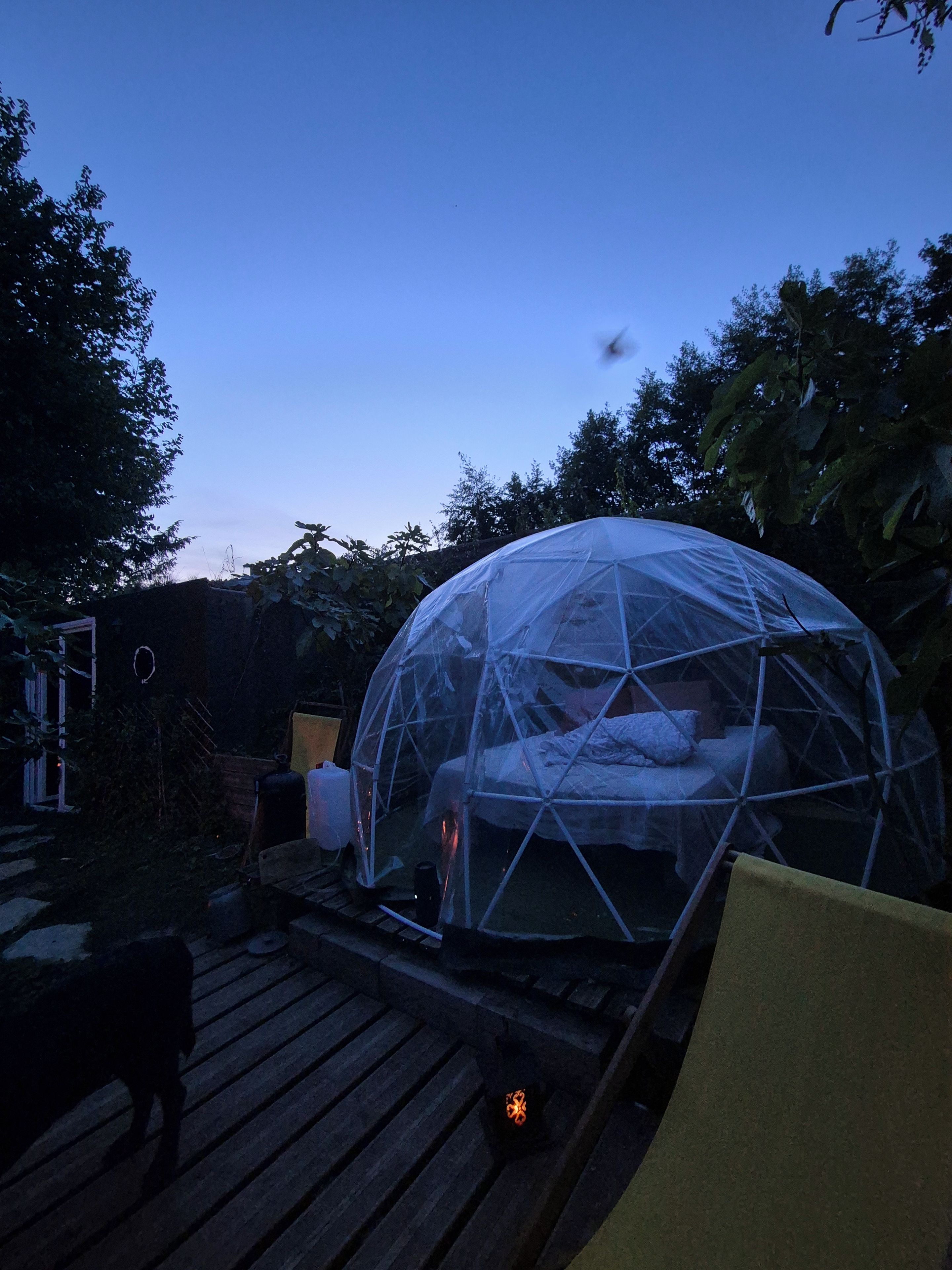 Une structure en forme de dôme transparent abrite un lit, et est entourée d’arbres et d’une terrasse en bois.