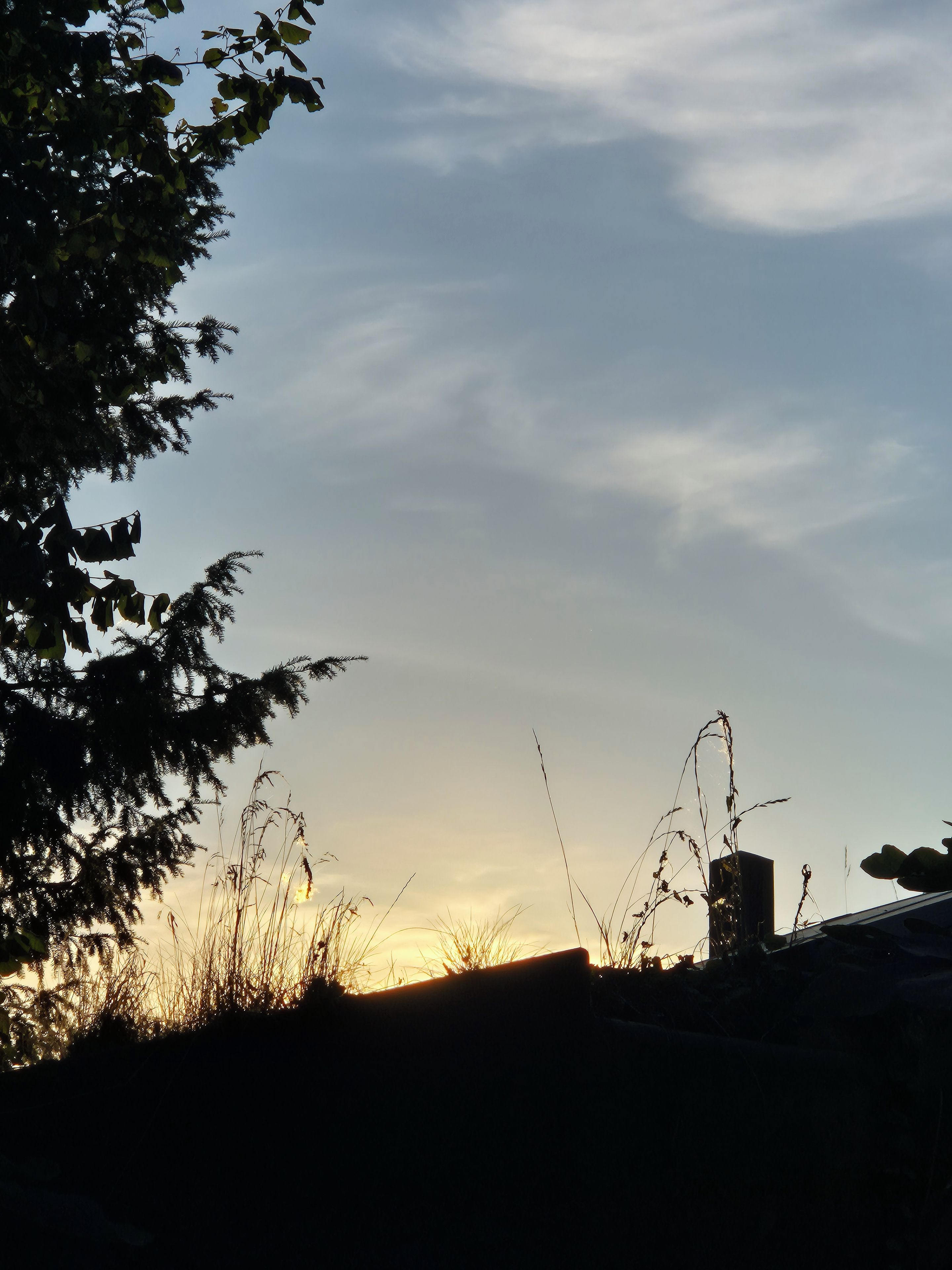 A sunset with silhouettes of trees and a building.
