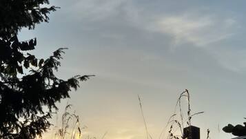 A sunset with silhouettes of trees and a building.