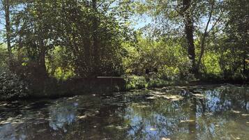Paesaggio naturale con specchio d'acqua, alberi e vegetazione.