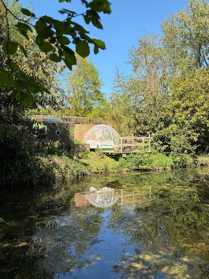 A serene outdoor setting with a wooden bridge over a calm body of water, surrounded by lush greenery and trees.