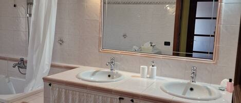 Shower, hair dryer, bidet, towels