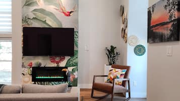 Smart TV, fireplace, books