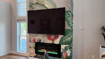 Smart TV, fireplace, books