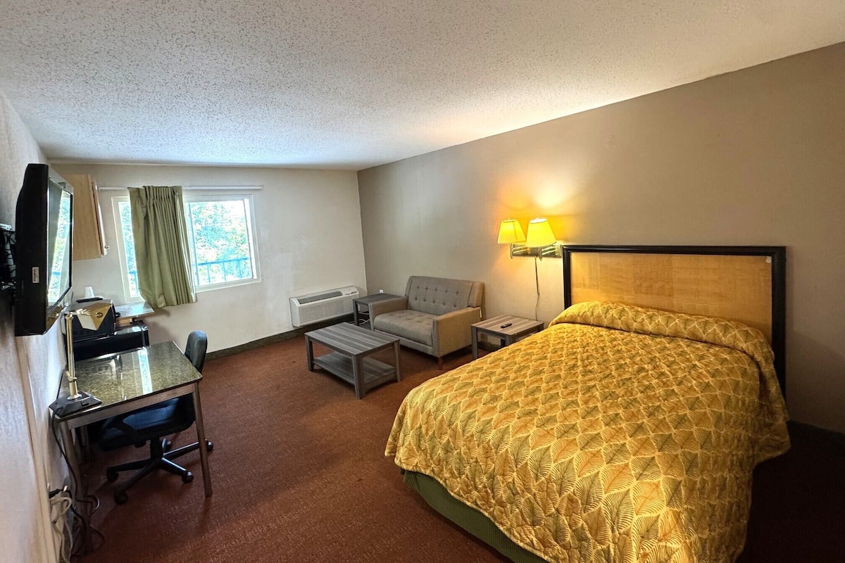 Comfort Single Room | Living area