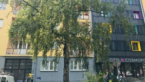 Un edificio de varios pisos con un árbol en primer plano.
