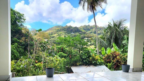 Una habitación con vistas a un jardín exuberante y colinas.