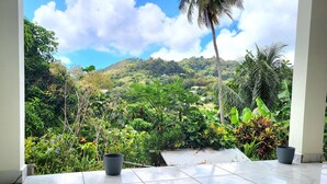 Una habitación con vistas a un jardín exuberante y colinas.