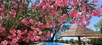 Apart Club SAN Pedro. RÍO Paraná. Piscina. Balcón, Parrilla. Barrio Privado