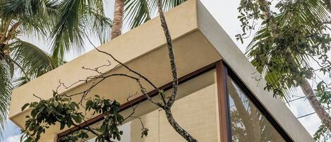A modern building with large glass windows, a concrete exterior, and a view of palm trees.