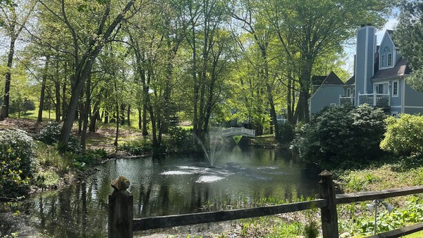 A serene garden with a pond, a wooden fence, and a house in the background. - Cozy newly renovated condo, in Norwich, CT. 3 mins from Mohegan Sun Casino. (Norwich)