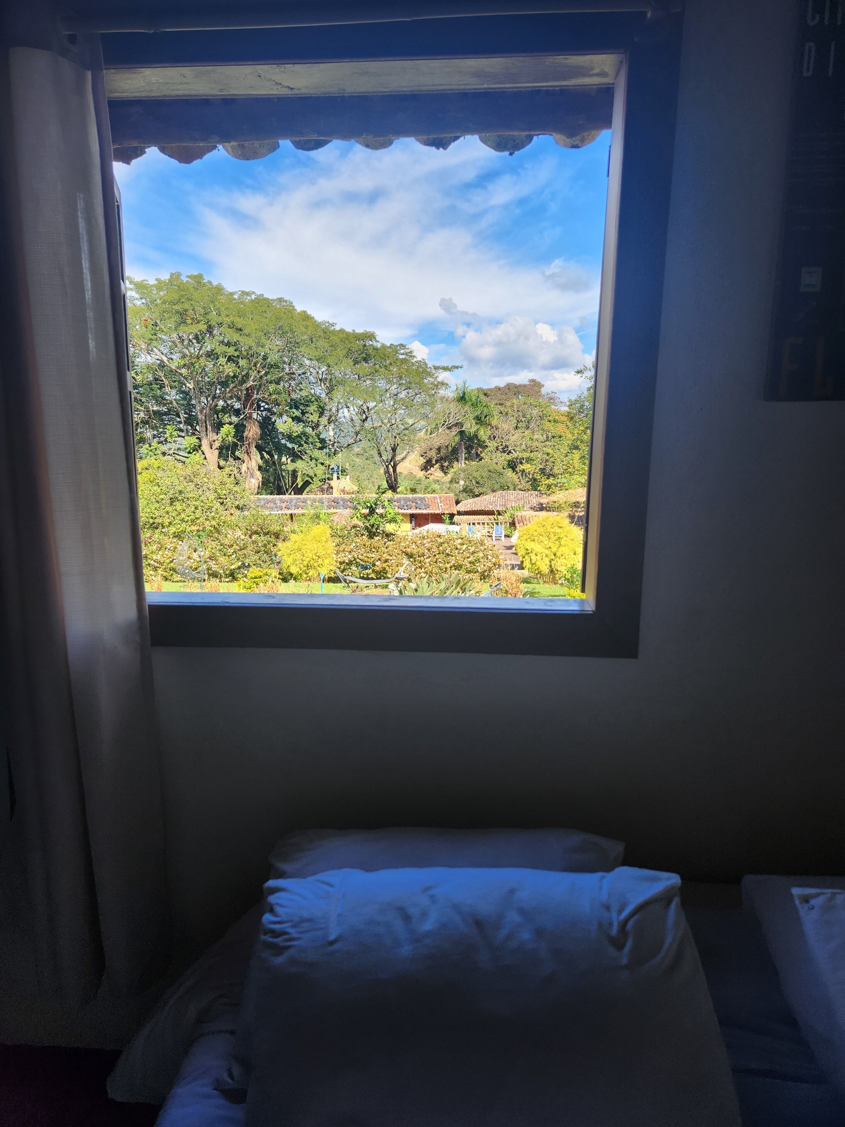A room with a single bed, a window with a view of a garden and trees.