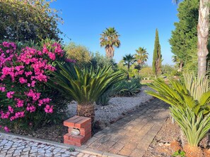 Exterior - Vila Relaxmountain (Silves)