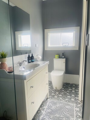 Shower, hair dryer, towels, soap