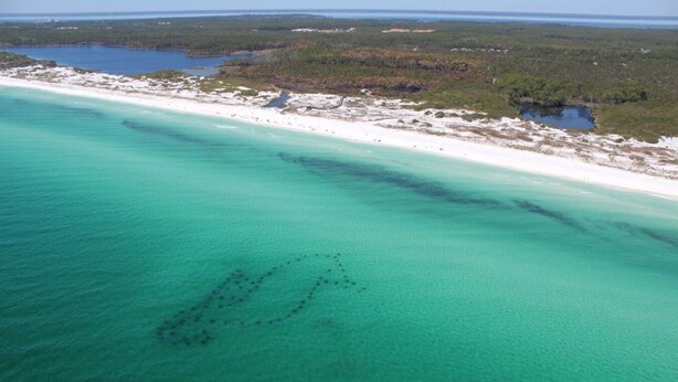 An aerial view of a beach with clear turquoise waters, a sandy shoreline, and a forested area in the background. - Elegant Home 4BR/2BA Minutes From 30A & Sandestin Shopping (Santa Rosa Beach)