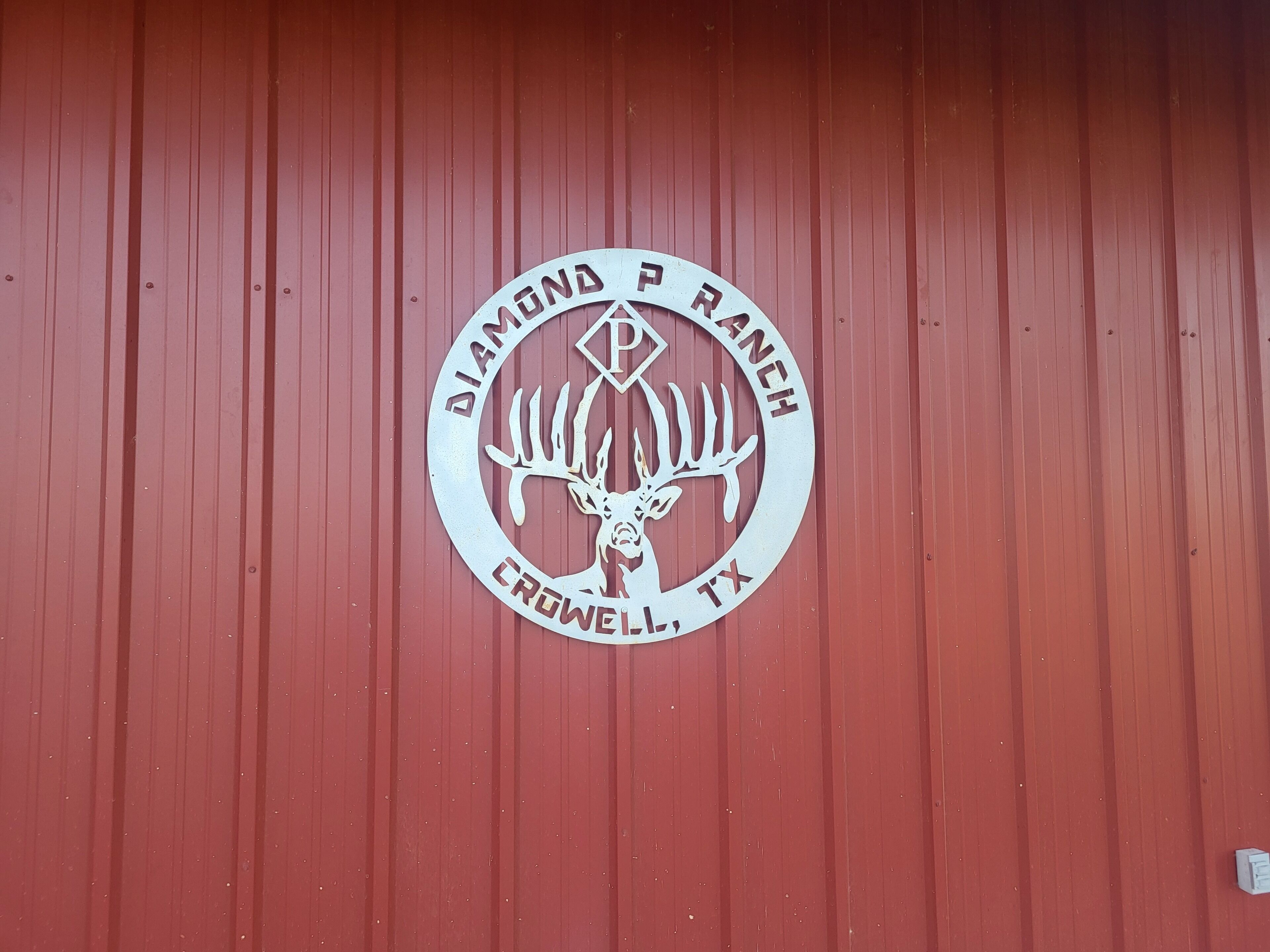 Hunter's Lodge and Guided Hunts NW Texas 