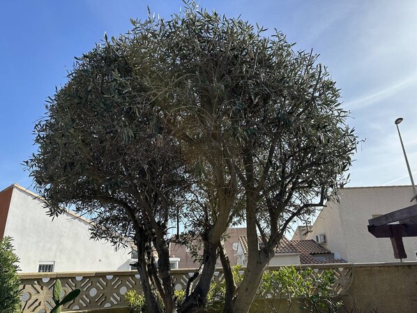 Property grounds - HOLIDAYLAND VILLA T3 304 MEZZANINE 9 beds air-conditioned NARBONNE PLAGE (NARBONNE PLAGE)