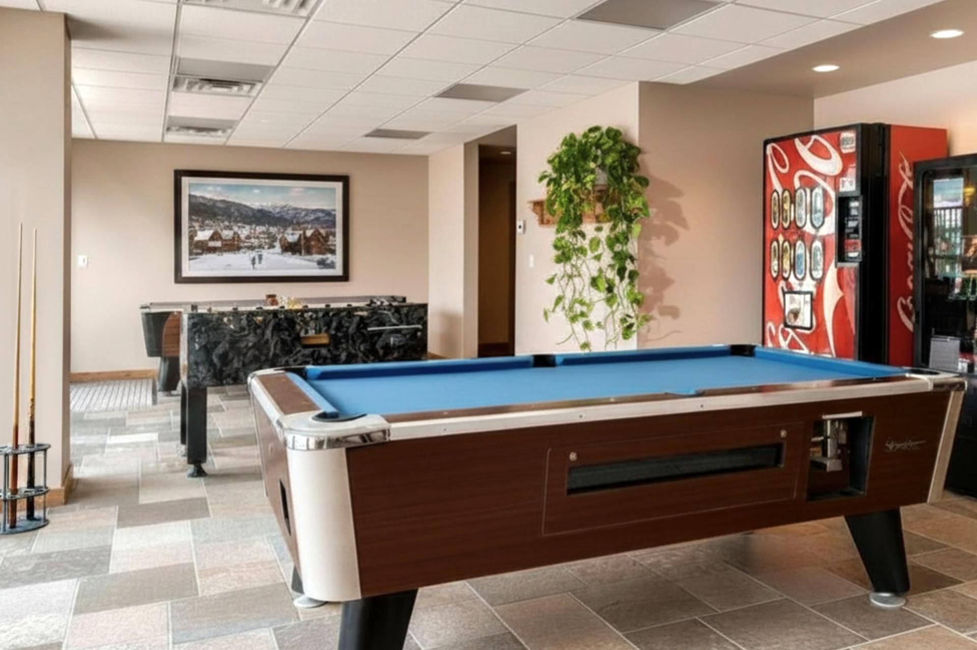 A pool table in a room with a framed picture on the wall, a plant, and a vending machine.