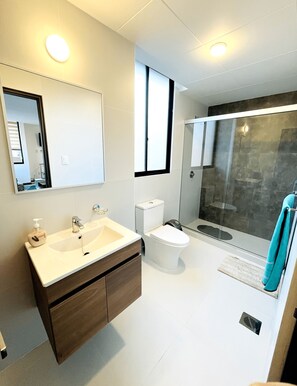 Hair dryer, towels, soap, shampoo