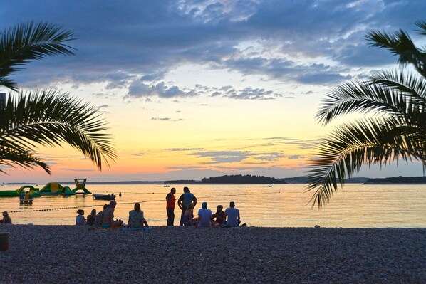 Guests can enjoy the serene beach scene with palm trees and a distant shoreline.