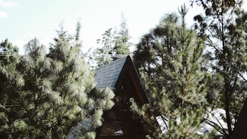 Una cabaña de madera rodeada de densos pinos.