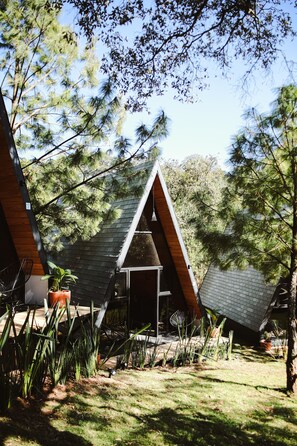 Una casa moderna con techo triangular, rodeada por un jardín con diversas plantas y una terraza de madera.