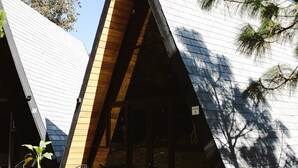 Un edificio moderno de techo triangular con detalles de madera, rodeado de plantas en macetas y un cielo azul despejado.