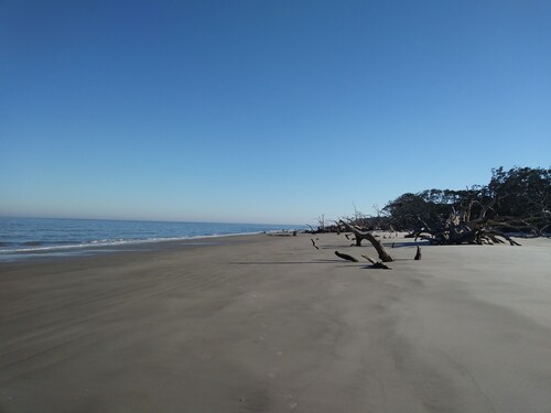 Marsh Front Home with Deep Water Dock on White Chimney River-Shellman Bluff.