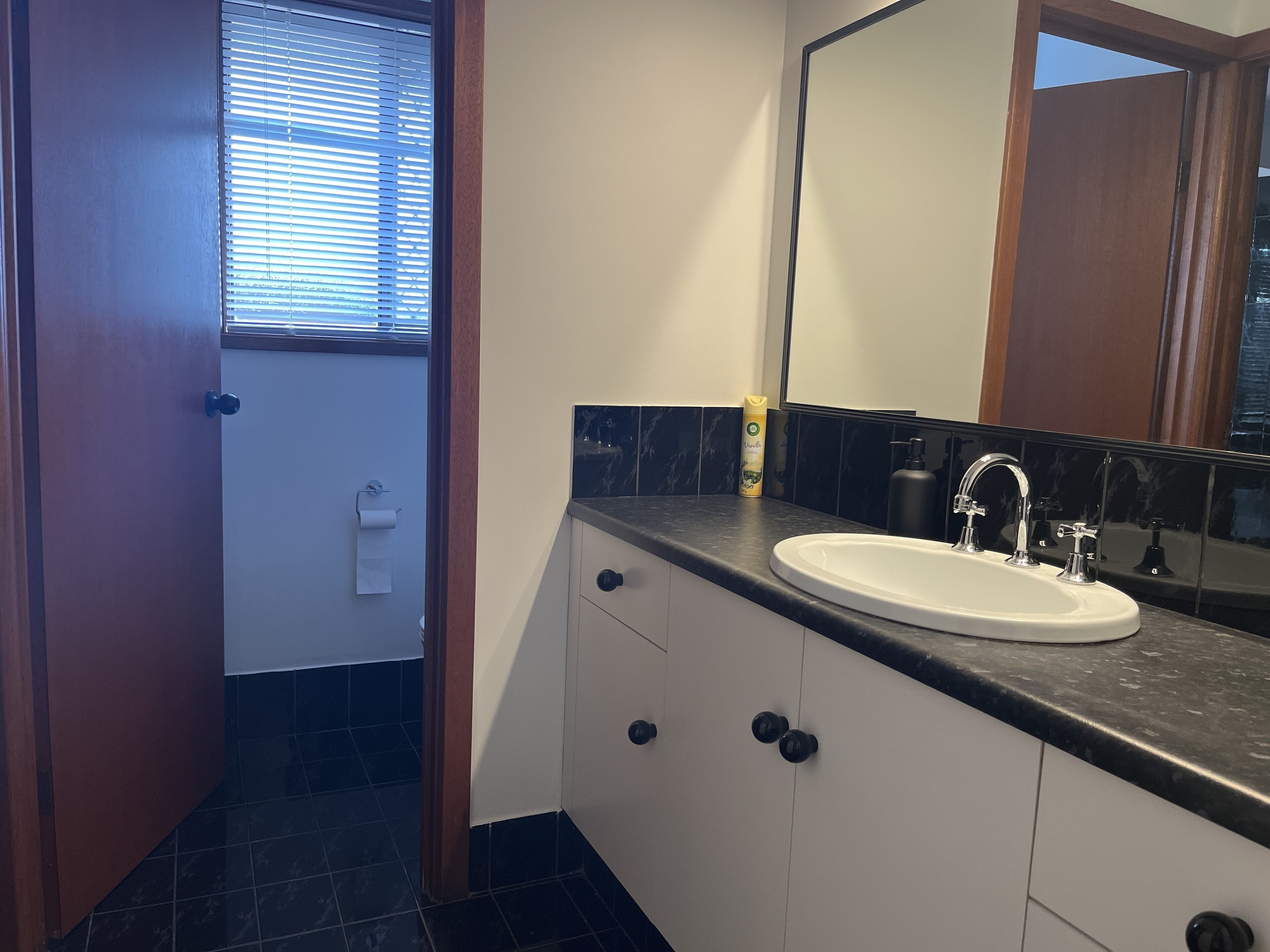A bathroom with a white sink, dark countertop, and a mirror above it.