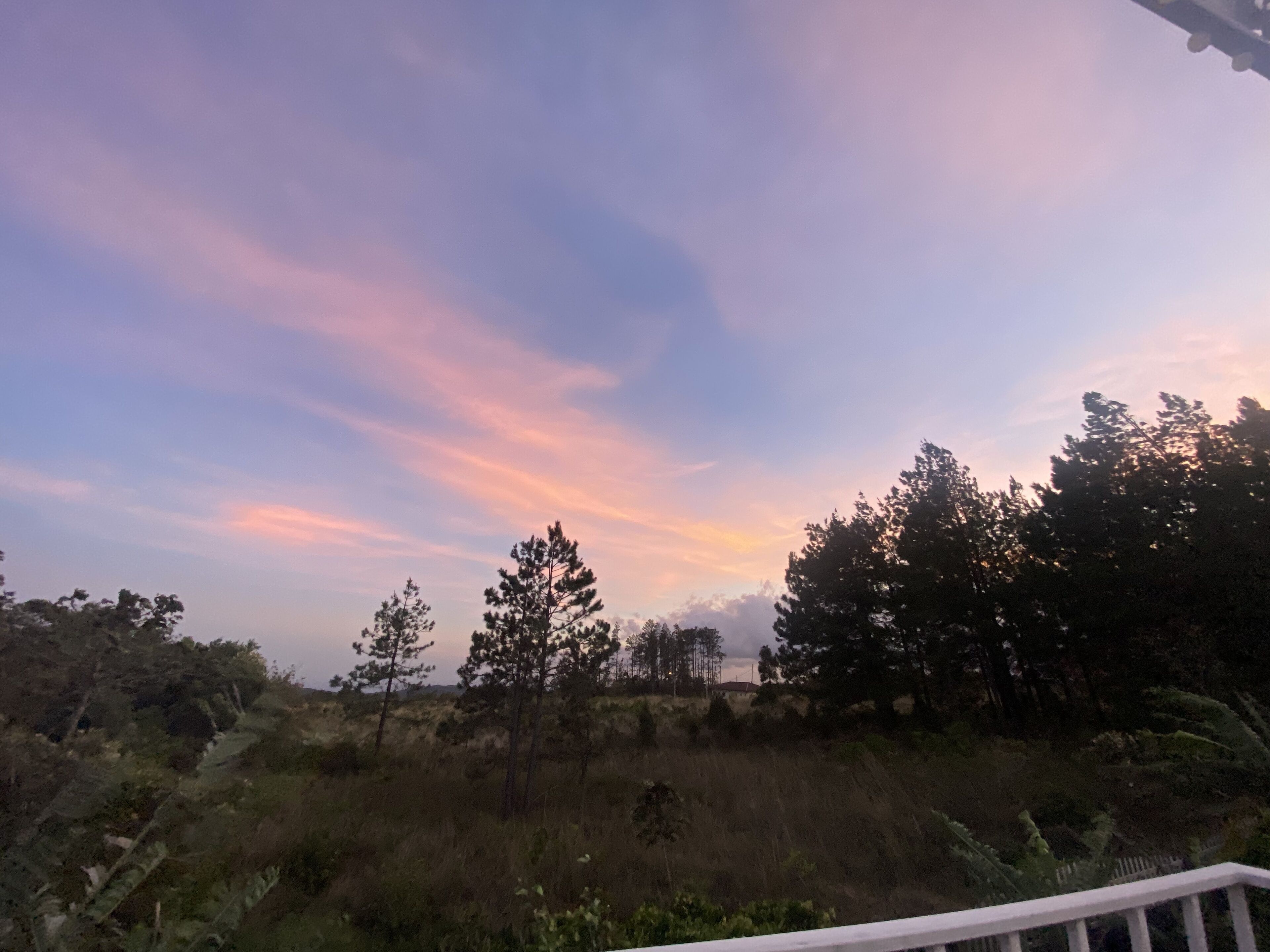 Vista desde la propiedad