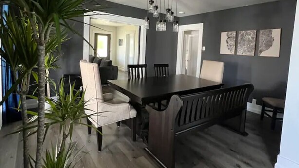 Un espace repas moderne avec une table et des chaises en bois foncé, un luminaire suspendu et une plante en pot.