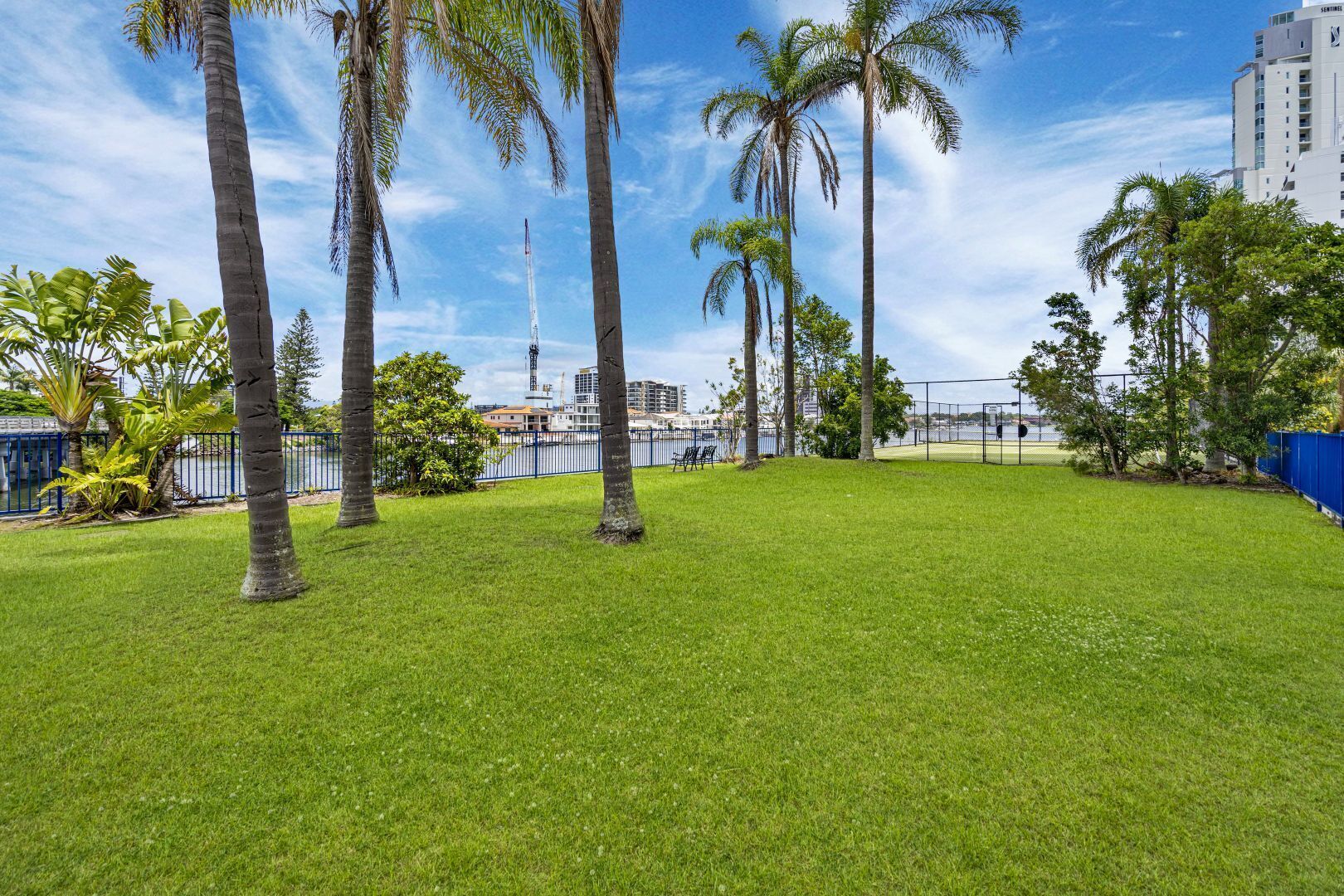 Un espacio verde con palmeras y vista a un edificio alto al fondo.