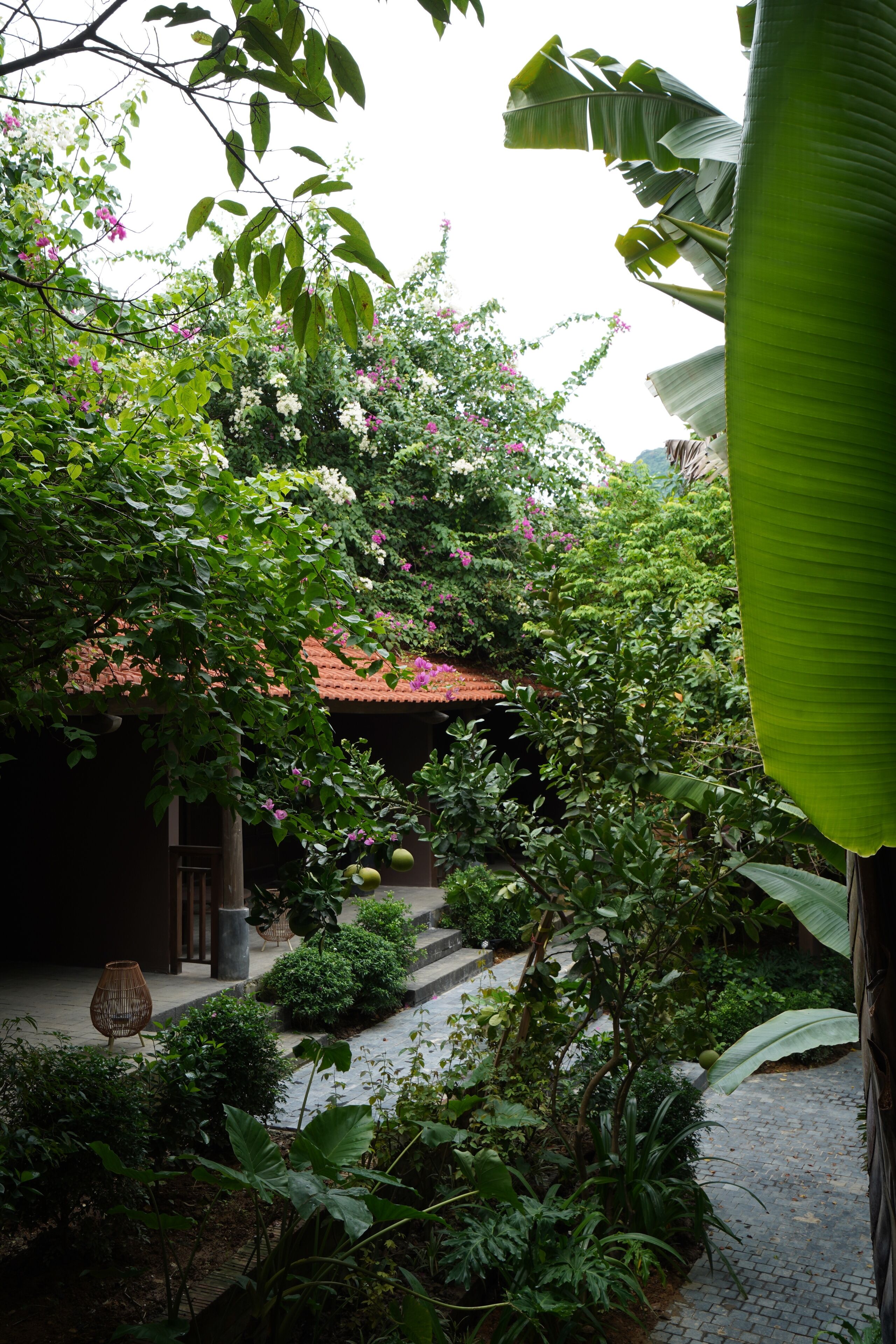 Un jardín exuberante con diversas plantas y un sendero que conduce a un edificio con techo de tejas rojas.