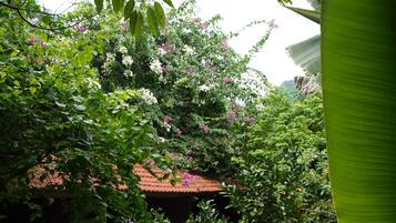 Un jardín exuberante con diversas plantas y un sendero que conduce a un edificio con techo de tejas rojas.
