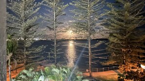 Ein Nachtblick auf einen See mit Bäumen und einem in der Ferne beleuchteten Gebiet.