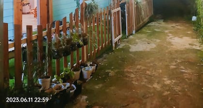 Ngôi nhà cuối hẻm yên tĩnh với tiếng chim hót, có ban công chill thật tuyệt vời