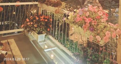 Ngôi nhà cuối hẻm yên tĩnh với tiếng chim hót, có ban công chill thật tuyệt vời