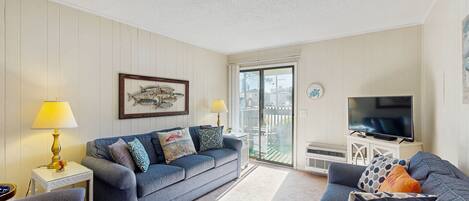 TV, DVD player, books, video library